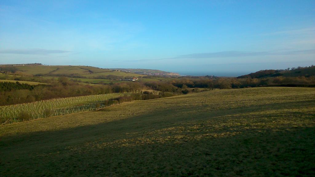 Holiday home Meadowbeck Holiday *